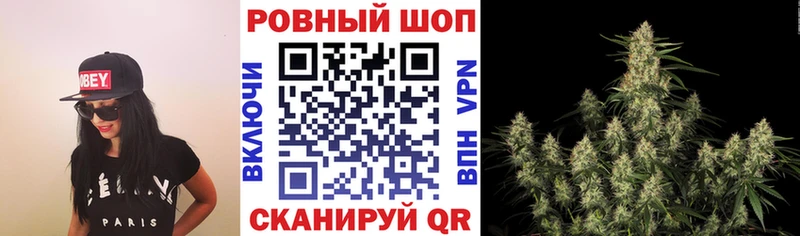 Псилоцибиновые грибы Будённовск