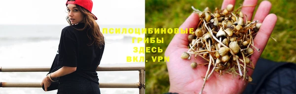 дмт Белоозёрский