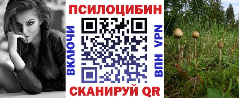 Галлюциногенные грибы MAGIC MUSHROOMS Купить закладки Будённовск